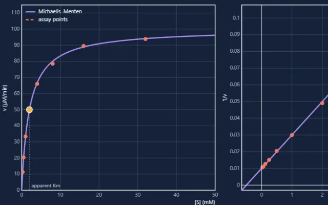 Screenshot of Enzyme Kinetics